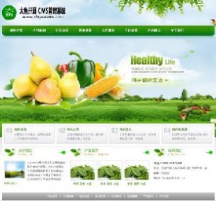 dayucms模板 企业模板 绿色企业网站完美版 界面清爽带数据
